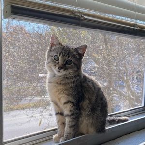 Meet your Posher, Graycee